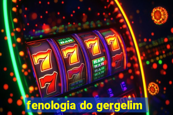 fenologia do gergelim